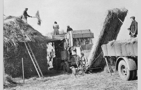 Goldsmith family stacking corn